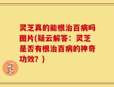 灵芝真的能根治百病吗图片(疑云解答：灵芝是否有根治百病的神奇功效？)