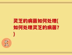 灵芝的病菌如何处理(如何处理灵芝的病菌？)