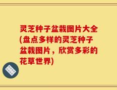 灵芝种子盆栽图片大全(盘点多样的灵芝种子盆栽图片，欣赏多彩的花草世界)