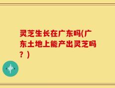 灵芝生长在广东吗(广东土地上能产出灵芝吗？)