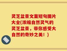灵芝盆景文案短句图片大全(浓缩自然灵气的灵芝盆景，带你感受大自然的奇妙之美！)