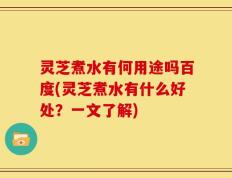 灵芝煮水有何用途吗百度(灵芝煮水有什么好处？一文了解)