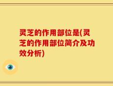 灵芝的作用部位是(灵芝的作用部位简介及功效分析)