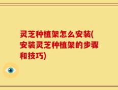 灵芝种植架怎么安装(安装灵芝种植架的步骤和技巧)