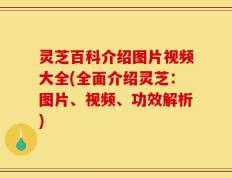 灵芝百科介绍图片视频大全(全面介绍灵芝：图片、视频、功效解析)
