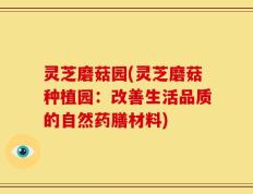 灵芝磨菇园(灵芝磨菇种植园：改善生活品质的自然药膳材料)