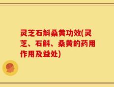 灵芝石斛桑黄功效(灵芝、石斛、桑黄的药用作用及益处)