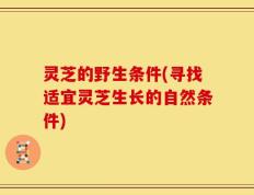 灵芝的野生条件(寻找适宜灵芝生长的自然条件)