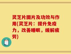 灵芝片图片及功效与作用(灵芝片：提升免疫力，改善睡眠，缓解疲劳)