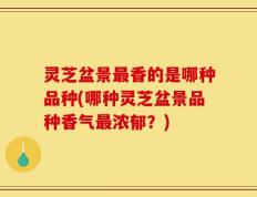 灵芝盆景最香的是哪种品种(哪种灵芝盆景品种香气最浓郁？)