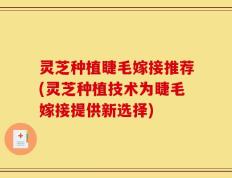 灵芝种植睫毛嫁接推荐(灵芝种植技术为睫毛嫁接提供新选择)