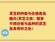 灵芝的种类与价格表及图片(灵芝之旅：探索不同价格与品种的灵芝及其奇妙之处！
