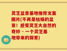 灵芝盆景基地推荐文案图片(不再是枯燥的盆景！感受灵芝大自然的奇妙 - 一个灵芝基地带来的探索)