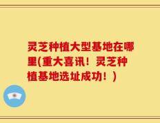 灵芝种植大型基地在哪里(重大喜讯！灵芝种植基地选址成功！)