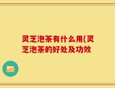 灵芝泡茶有什么用(灵芝泡茶的好处及功效