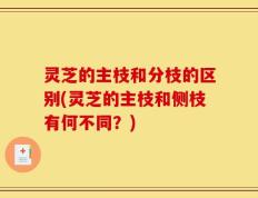 灵芝的主枝和分枝的区别(灵芝的主枝和侧枝有何不同？)