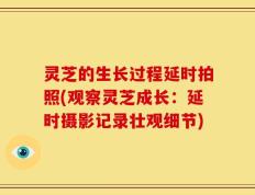 灵芝的生长过程延时拍照(观察灵芝成长：延时摄影记录壮观细节)