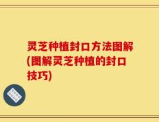 灵芝种植封口方法图解(图解灵芝种植的封口技巧)