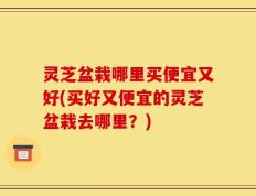 灵芝盆栽哪里买便宜又好(买好又便宜的灵芝盆栽去哪里？)