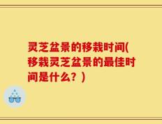 灵芝盆景的移栽时间(移栽灵芝盆景的最佳时间是什么？)