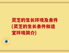 灵芝的生长环境及条件(灵芝的生长条件和适宜环境简介)