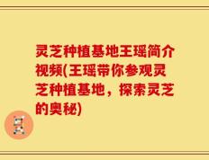 灵芝种植基地王瑶简介视频(王瑶带你参观灵芝种植基地，探索灵芝的奥秘)