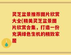 灵芝盆景推荐图片欣赏大全(精美灵芝盆景图片欣赏合集，打造一份充满绿色生机的精致家居