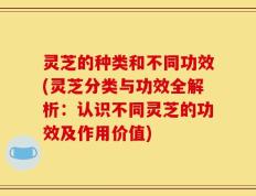 灵芝的种类和不同功效(灵芝分类与功效全解析：认识不同灵芝的功效及作用价值)