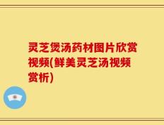 灵芝煲汤药材图片欣赏视频(鲜美灵芝汤视频赏析)