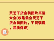 灵芝干货盒装图片高清大全(收集最全灵芝干货盒装图片，干货满满，品质保证)