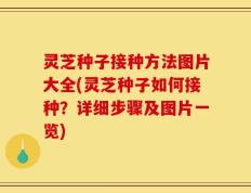 灵芝种子接种方法图片大全(灵芝种子如何接种？详细步骤及图片一览)