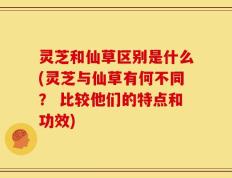 灵芝和仙草区别是什么(灵芝与仙草有何不同？ 比较他们的特点和功效)