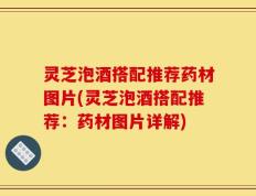 灵芝泡酒搭配推荐药材图片(灵芝泡酒搭配推荐：药材图片详解)