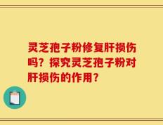 灵芝孢子粉修复肝损伤吗？探究灵芝孢子粉对肝损伤的作用？