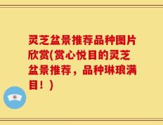 灵芝盆景推荐品种图片欣赏(赏心悦目的灵芝盆景推荐，品种琳琅满目！)