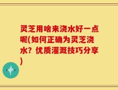 灵芝用啥来浇水好一点呢(如何正确为灵芝浇水？优质灌溉技巧分享)