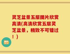 灵芝盆景五层图片欣赏高清(高清欣赏五层灵芝盆景，精致不可错过！)