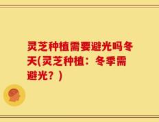 灵芝种植需要避光吗冬天(灵芝种植：冬季需避光？)