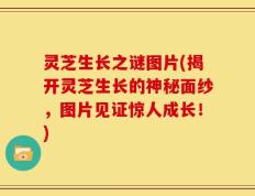 灵芝生长之谜图片(揭开灵芝生长的神秘面纱，图片见证惊人成长！)