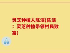 灵芝种植人陈洁(陈洁：灵芝种植带领村民致富)