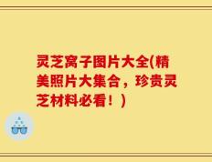灵芝窝子图片大全(精美照片大集合，珍贵灵芝材料必看！)