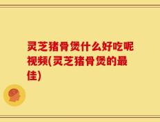 灵芝猪骨煲什么好吃呢视频(灵芝猪骨煲的最佳)