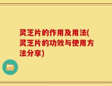 灵芝片的作用及用法(灵芝片的功效与使用方法分享)