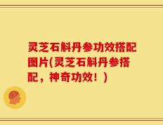 灵芝石斛丹参功效搭配图片(灵芝石斛丹参搭配，神奇功效！)