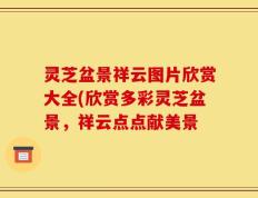 灵芝盆景祥云图片欣赏大全(欣赏多彩灵芝盆景，祥云点点献美景