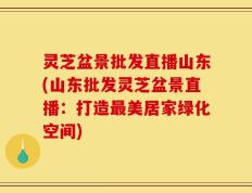 灵芝盆景批发直播山东(山东批发灵芝盆景直播：打造最美居家绿化空间)