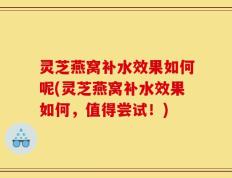 灵芝燕窝补水效果如何呢(灵芝燕窝补水效果如何，值得尝试！)