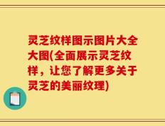 灵芝纹样图示图片大全大图(全面展示灵芝纹样，让您了解更多关于灵芝的美丽纹理)