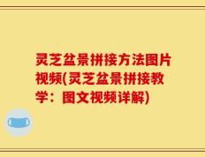 灵芝盆景拼接方法图片视频(灵芝盆景拼接教学：图文视频详解)
