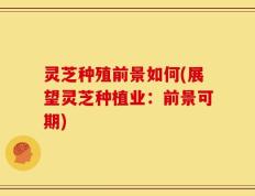 灵芝种殖前景如何(展望灵芝种植业：前景可期)